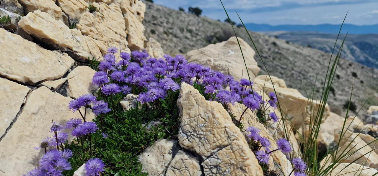 Swim And Climb Baska Holiday House - Island Krk Draga Bascanska Екстер'єр фото